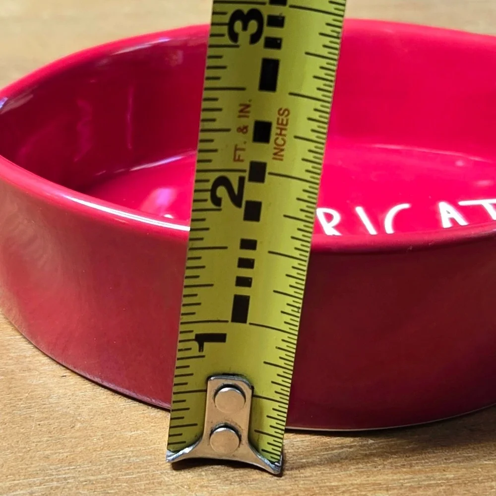 Rae Dunn Americat Pet Bowl Cat Red Fish Pet Food Water Farmhouse Ceramic Dish